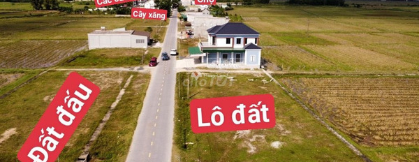 Giá cực tốt chỉ 1.59 tỷ, Bán đất có diện tích 1584m2 vị trí hấp dẫn nằm ở Nghi Lộc, Nghệ An, hướng Tây Nam cực kì tiềm năng-03