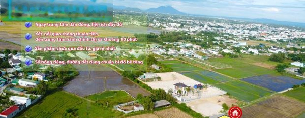 1.5 tỷ bán đất Diện tích nền 128m2 vị trí thuận lợi tọa lạc ngay trên Phước Hội, La Gi, hướng Tây-03