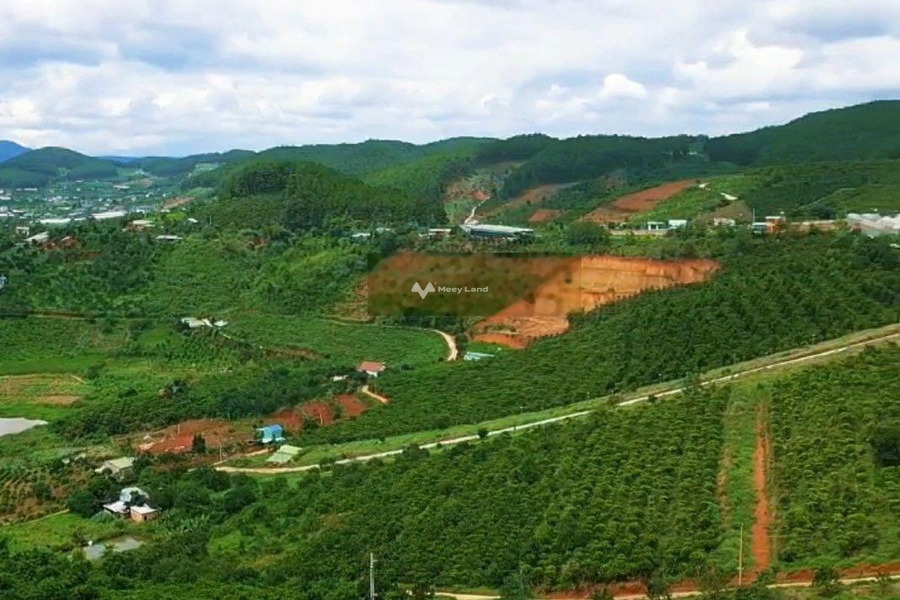 1.75 tỷ bán đất có diện tích là 901m2 nằm ngay bên trong Mê Linh, Lâm Đồng-01