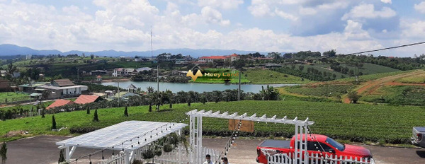 Bán mảnh đất 200m2 vị trí mặt tiền tọa lạc tại Khúc Thừa Dụ, Lâm Đồng-02