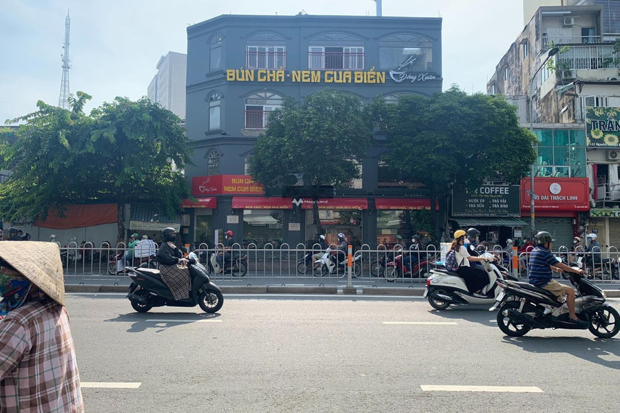 Cho thuê nhà vị trí đặt tọa lạc ngay tại Nguyễn Cư Trinh, Hồ Chí Minh, giá thuê siêu mềm 60 triệu/tháng với diện tích thực 63.8m2-01