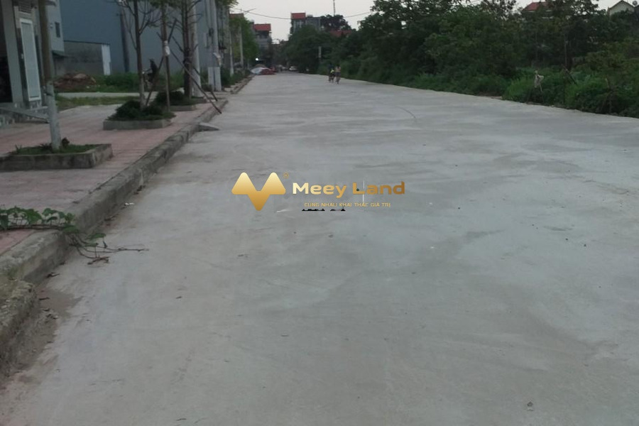 Bán đất có diện tích chung 75 m2 tọa lạc ngay ở Thị Trấn Phùng, Hà Nội-01
