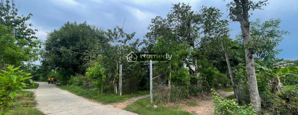 1.7 tỷ bán đất có diện tích rộng 1762m2 ngay trên Tân Phú, Đồng Nai-03