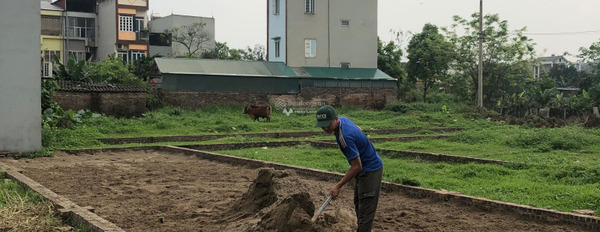 Giá thị trường chỉ 3.5 tỷ bán đất toàn bộ khu vực có diện tích 79.57m2 mặt tiền tọa lạc trên Lương Quy, Đông Anh-02