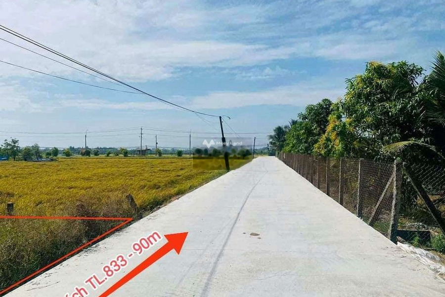 Giá bán hữu nghị từ 2.5 tỷ bán đất diện tích cụ thể 1000m2 Nằm ngay trên Nguyễn Văn, Long An-01