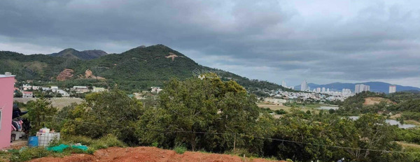 Vĩnh Phương, Nha Trang bán đất giá bán công khai 250 triệu, hướng Tây - Nam có diện tích thực là 100m2-03