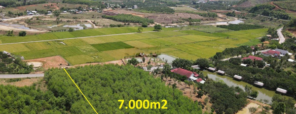 Giá khoảng 7 tỷ bán đất có diện tích chung là 7000m2 vị trí đẹp ngay trên Hương Lộ 62, Khánh Hòa-03