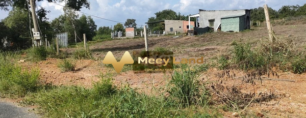 Giá bán hấp dẫn 2.5 tỷ bán đất diện tích trong khoảng 640 m2 tọa lạc tại Xã Phước Thuận, Tỉnh Bà Rịa - Vũng Tàu-02