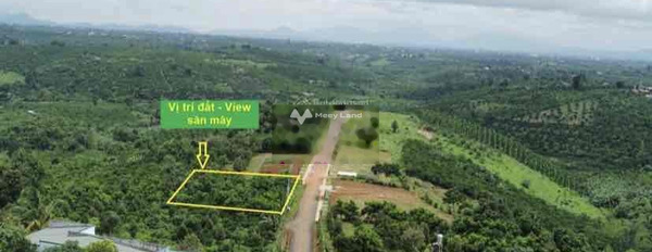 Đầu tư bất động sản bán mảnh đất, 300m2 giá bất ngờ từ 1.47 tỷ vị trí tốt tại Lộc Nga, Lâm Đồng giá tốt-02