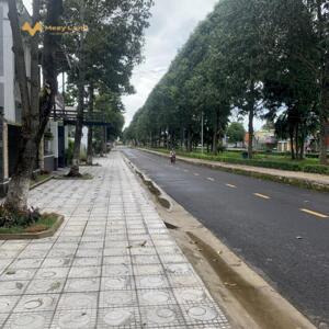 Bán 5 sào xã Phú Thịnh, Tân Phú giá rẻ