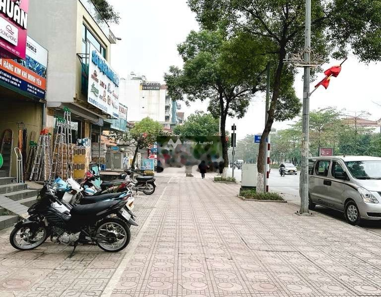 Tổng quan nhà 3 phòng ngủ bán nhà bán ngay với giá bất ngờ chỉ 11.9 tỷ diện tích rộng 90m2 vị trí mặt tiền nằm tại Đức Giang, Thượng Thanh-01