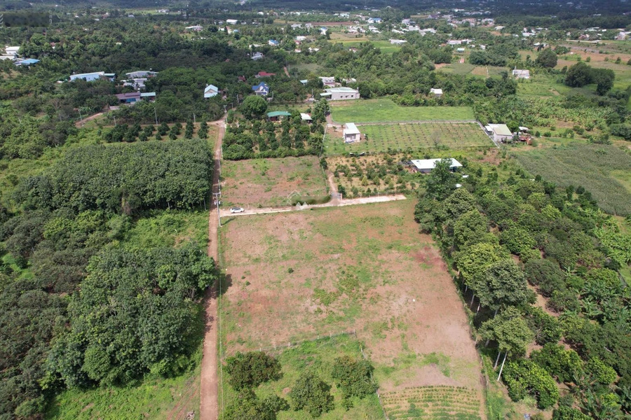 Giá bán siêu rẻ chỉ 980 triệu bán đất có diện tích chuẩn 110m2 vị trí tiềm năng Dầu Giây, Đồng Nai-01