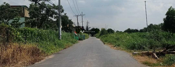 Bán đất tại Nguyễn Văn Ràng, Phước Lộc. Diện tích 4172m2-03