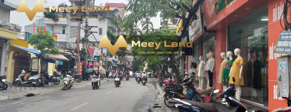 Chính chủ bán đất lô góc phố Lê Lợi tặng nhà 65m2-02