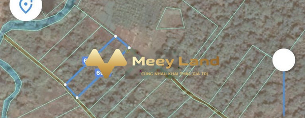 Bán đất 820 triệu Định Quán, Đồng Nai diện tích tầm trung 1000m2-02