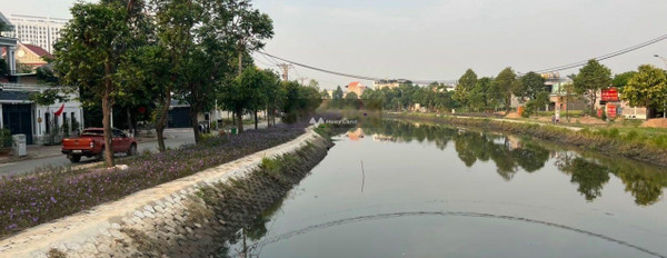 Giá cực mềm từ 7.13 tỷ bán đất có một diện tích 246m2 tọa lạc ngay tại Bình Phước A, Thuận An-03