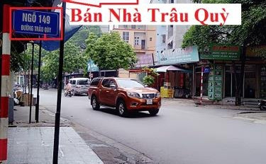 Bán nhà vị trí tiện lợi ngay tại Đào Nguyên, Gia Lâm vào ở luôn giá rẻ bất ngờ chỉ 4.06 tỷ diện tích khoảng 58 m2-02