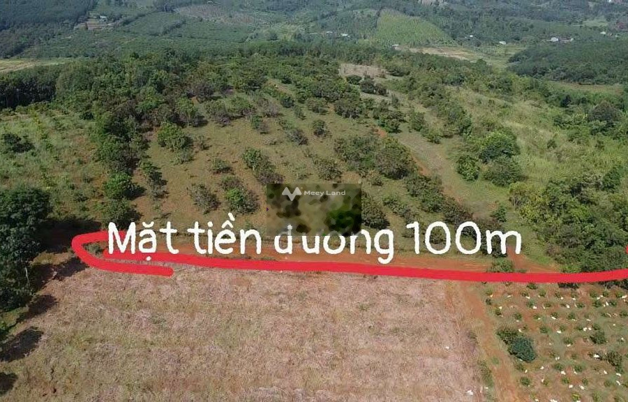Vị trí đẹp tọa lạc gần Đắk R'Lấp, Đắk Nông bán đất, giá bán cực rẻ 1.6 tỷ với tổng diện tích 30459m2-01