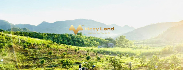Bán đất 1.15 tỷ Cao Phong, Hòa Bình có dt quy ước 2024 m2-03