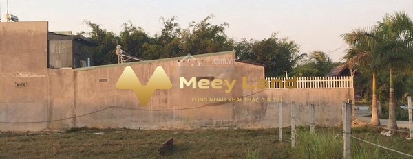 Vĩnh Cửu, Đồng Nai bán đất giá bán cơ bản 1.3 tỷ Diện tích nền 105m2-02