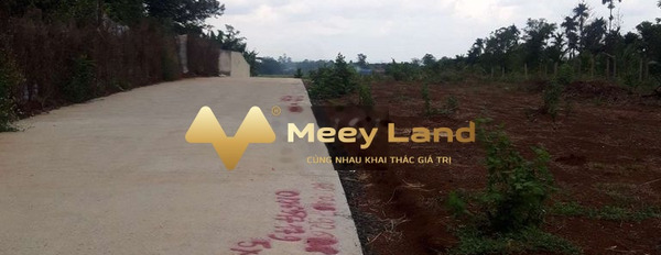 Bán đất với diện tích 100m2 vị trí mặt tiền ngay tại Tố Hữu, Hòa Khánh-03