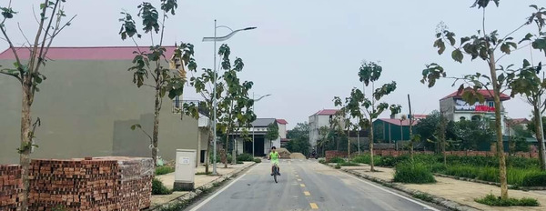 Bán đất Thuận Thành, Bắc Ninh, 128m2-02