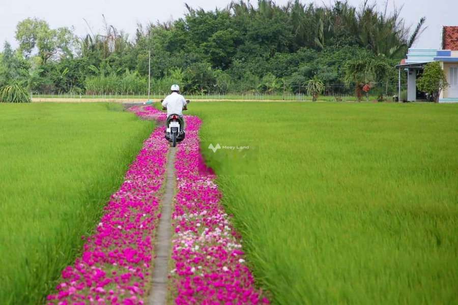 Cần xoay sở tiền trả nợ bán đất Cờ Đỏ, Cần Thơ giá bàn giao 5.3 tỷ có diện tích chuẩn 24000m2-01