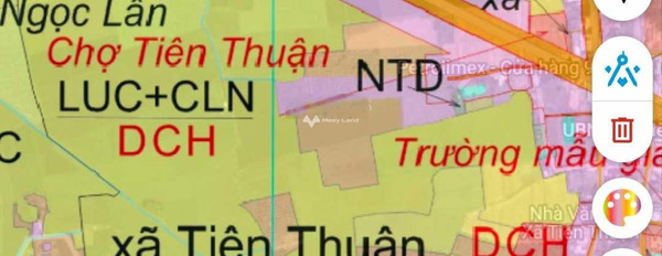 Gấp bán đất Tiên Thuận, Bến Cầu giá cực kì tốt 1.05 tỷ có diện tích 325m2-02