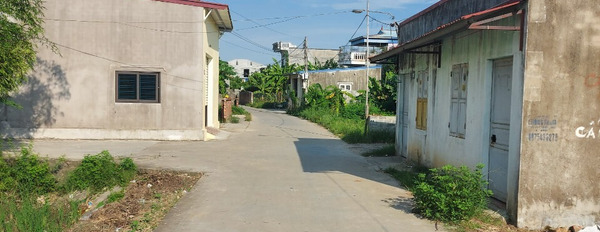 Nhà có việc cần bán gấp lô đất cực đẹp tại thị trấn Trường Sơn, An Lão, diện tích 100m2-02