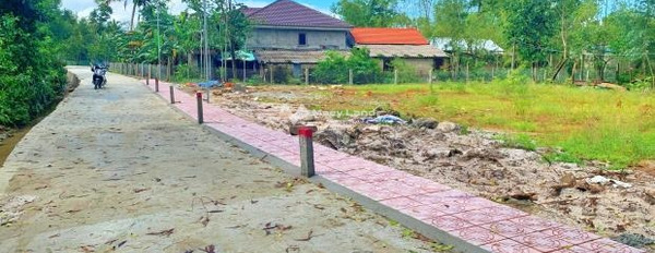 Vị trí thuận tiện Phú Vang, Thừa Thiên Huế bán đất giá êm chỉ 330 triệu có diện tích khoảng 102m2, lộ có độ 5 m-03