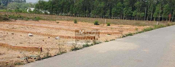 Bán đất tại Trảng Bom, Đồng Nai giá 950 triệu-02