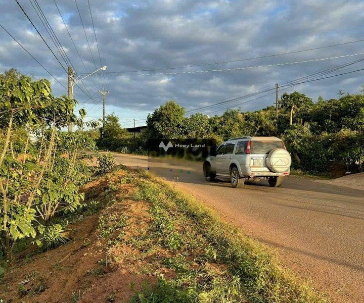 Với diện tích khoảng 5000m2 bán đất giá bán thương mại chỉ 17 tỷ-01