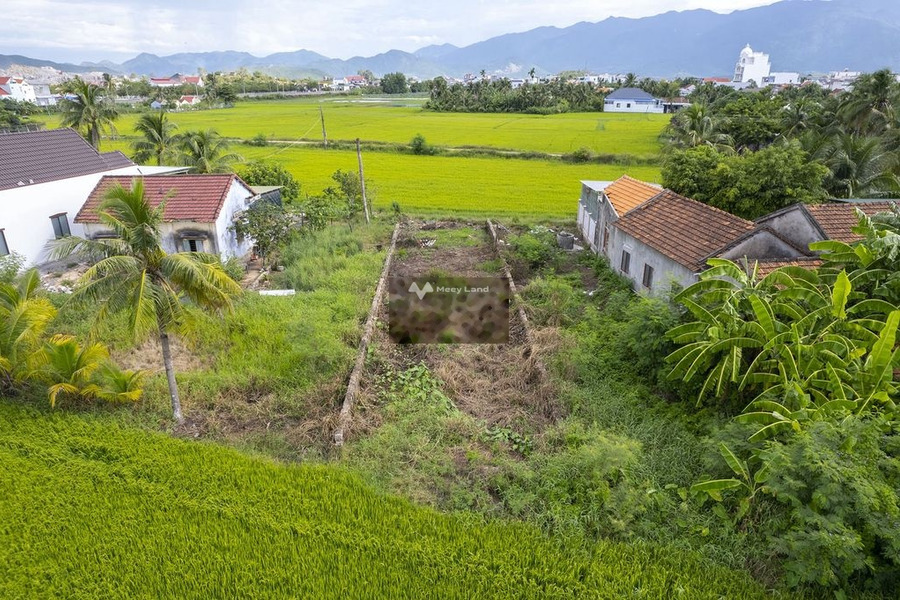 Ninh Hòa, Khánh Hòa bán đất giá bán mong muốn 1.2 tỷ diện tích thực dài 2224m2-01