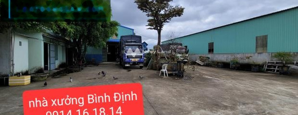 Vị trí mặt tiền tọa lạc trên Cát Trinh, Bình Định cần bán kho bãi 5500m2 giá bán chốt nhanh từ 12 tỷ pháp lý nhanh-02