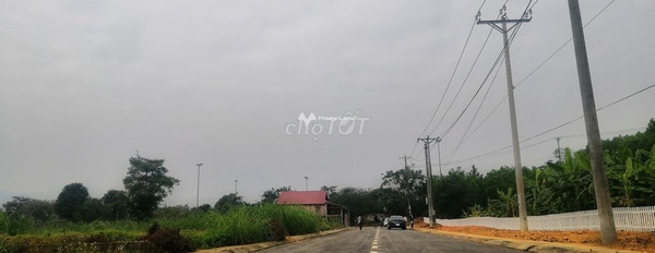 Sóc Sơn, Hà Nội cho thuê đất giá thuê cực tốt 3 triệu/tháng diện tích rất rộng 360m2-02