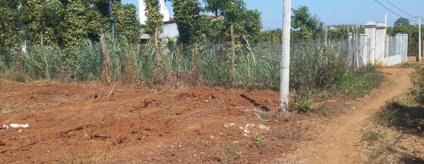 Bán đất mặt tiền tại đường Nguyễn Viết Xuân, huyện Cư Jút, Đắk Nông-02
