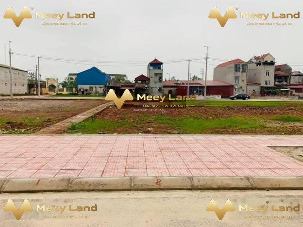 Ngay Thị Trấn Thắng, Bắc Giang bán đất 1,5 tỷ, 90 m2-01