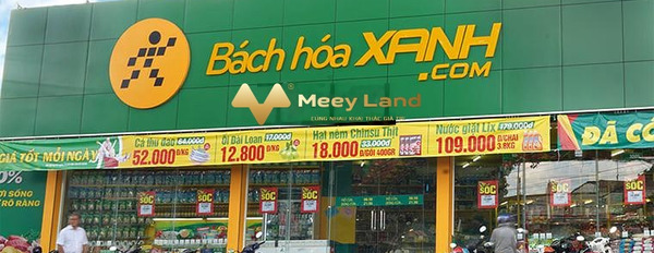 Cần mở công ty bán đất Nhuận Đức, Hồ Chí Minh giá cạnh tranh 1.7 tỷ có tổng dt 500m2-03