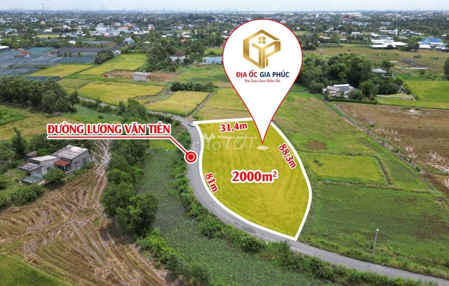 Bán đất 8.95 tỷ Mỹ Lộc, Long An diện tích mặt tiền 2000m2-01