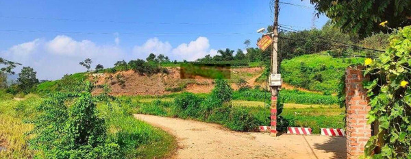 Bán đất tại xã Khánh Thượng, Ba Vì, Hà Nội diện tích 720m2 giá hợp lý view cánh đồng, LH 0971 274 *** -03