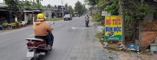 Giá bán mềm từ 4 tỷ, Bán đất Diện tích đất 693m2 tọa lạc ngay Châu Thành, Bến Tre khu vực dân cư-02