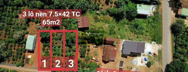 Giá bán khởi điểm chỉ 299 triệu bán đất Có tổng diện tích 367m2 vị trí đặt ngay tại Liên Xã, Đắk Lắk-03