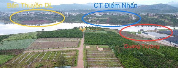 Bán đất tại Di Linh, Lâm Đồng. Diện tích 120m2, giá 1,1 tỷ-02