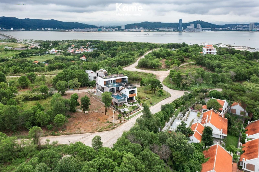 Nằm ngay Cảng Ngọc Châu bán đất 11 tỷ Hạ Long, Quảng Ninh có diện tích chung 500m2-01