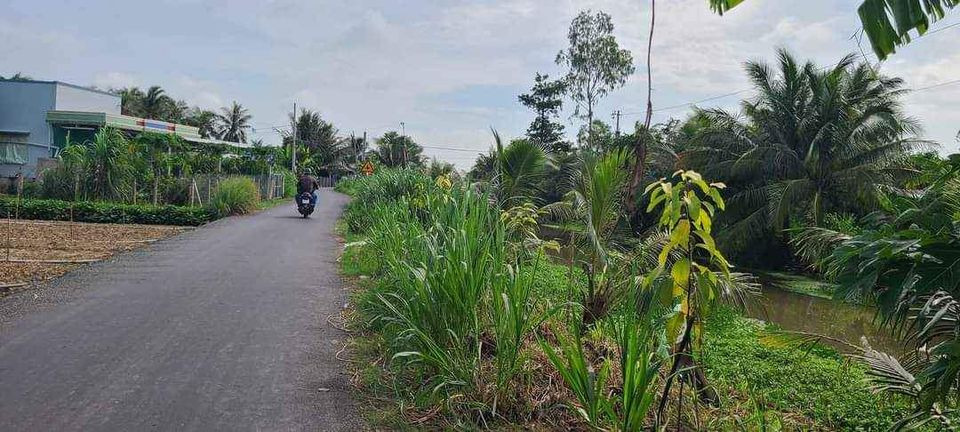 Bán đất quận 5 thành phố Hồ Chí Minh giá 500.0 triệu-2