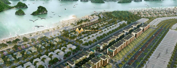 Cần vốn đầu tư bán mảnh đất, 87.5 m2 vị trí đẹp ngay tại Huyện Vân Đồn, Tỉnh Quảng Ninh, vị trí trung tâm-02