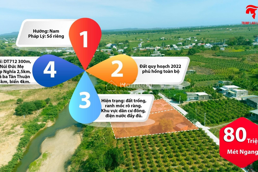 Bán đất 1.36 tỷ Đường 712, Hàm Thuận Nam có diện tích thực là 943m2-01