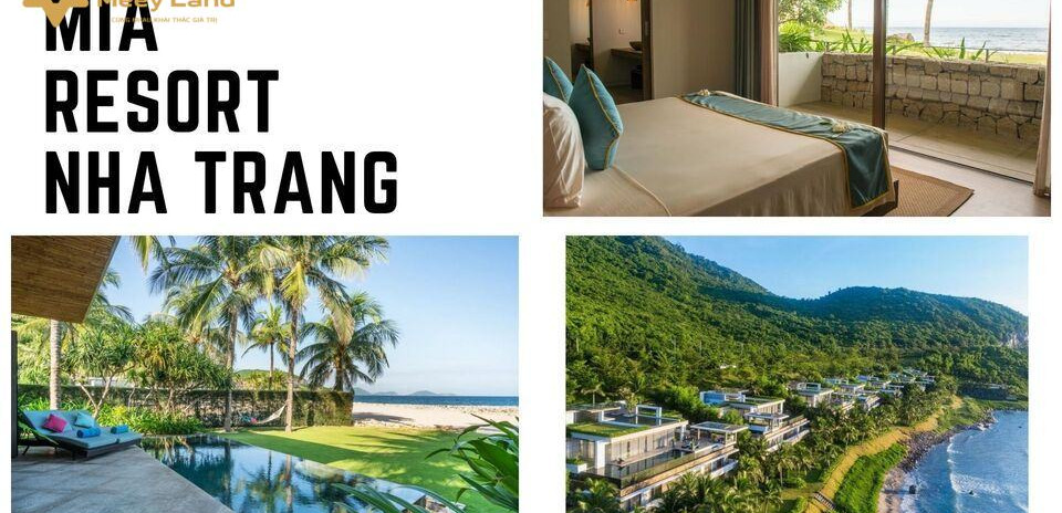 Cho thuê Mia Resort Nha Trang