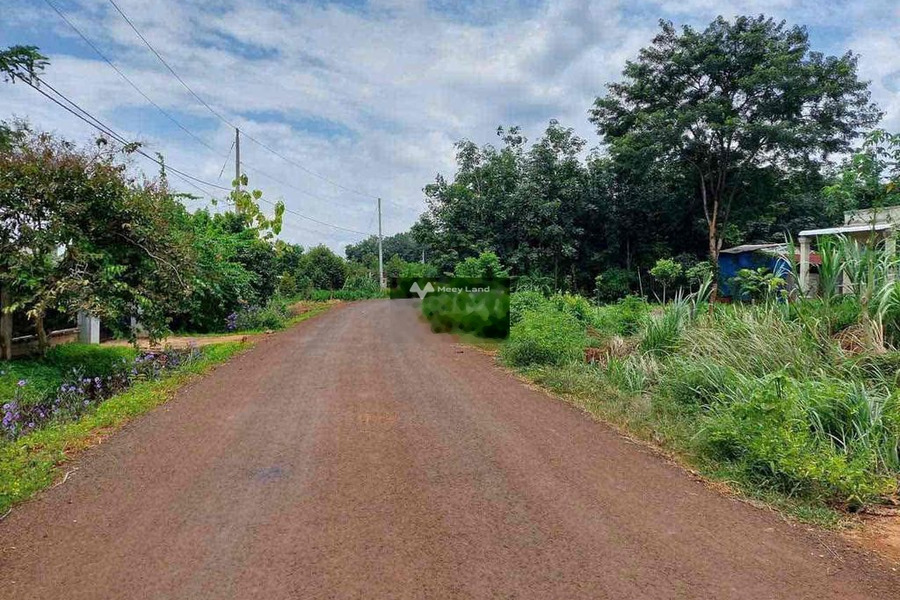 Từ 420 triệu bán đất có diện tích quy ước 273m2 mặt tiền tọa lạc ngay tại Lộc Quang, Bình Phước-01