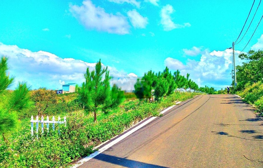 Lộc Ngãi, Lâm Đồng 1,9 tỷ bán đất có diện tích tổng 665m2-01